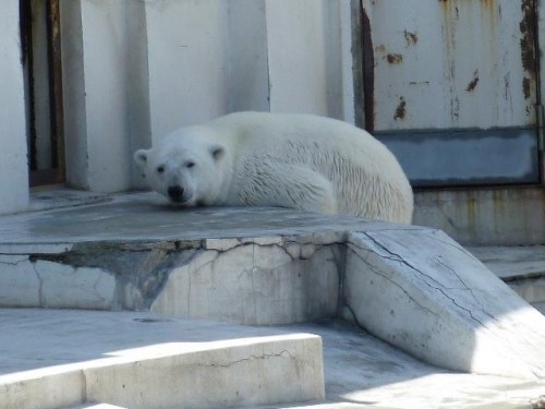 円山妄想劇場(旅立ち前夜編)