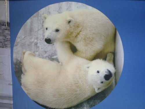 アンテナショップの