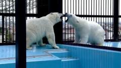 円山＆おびひろ妄想劇場(クリスマス編)