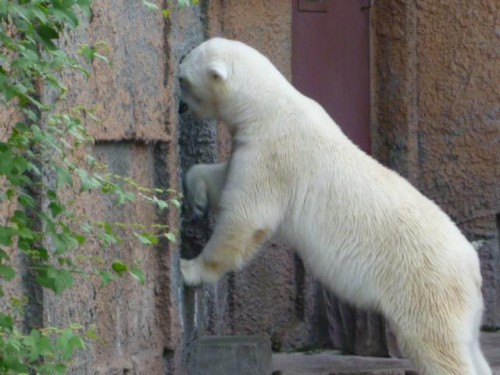 円山妄想劇場(ある姫リーマンの生活編)