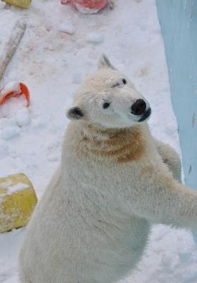 おびひろ妄想劇場(2人だけの新年会・後編)
