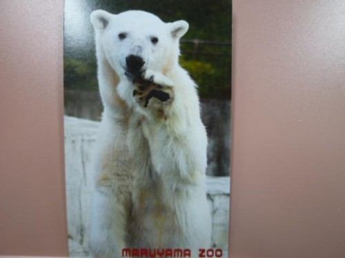 ただいま不足中…