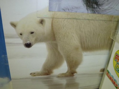 アンテナショップ