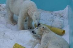 円山＆おびひろ妄想劇場(昔話・出会い編)