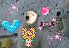 円山＆おびひろ妄想劇場(バレンタイン編)