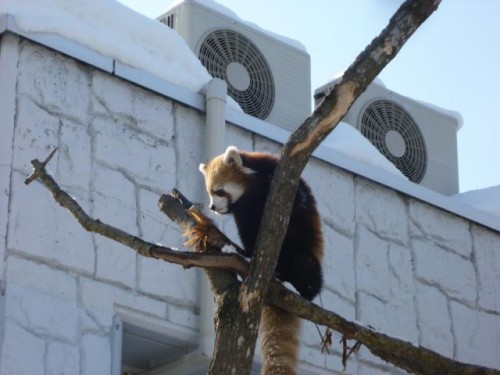 元気になりました!