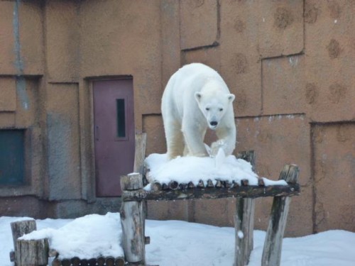 今日はいろいろと