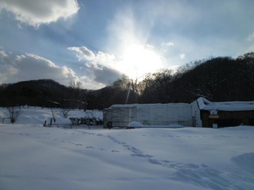 やっぱり、ララ様城