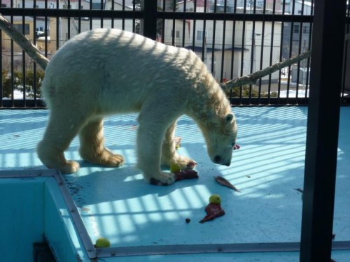 まずは王子達のもとへ♪