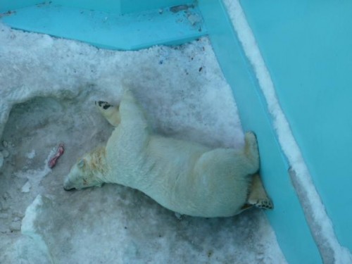 そんなにお好きなんですか!?