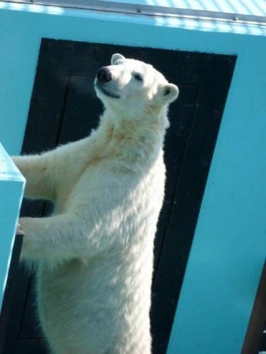 追い出されちゃった?