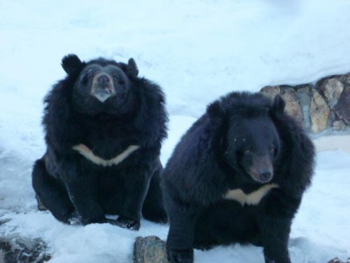 トモさん＆ミナミさん