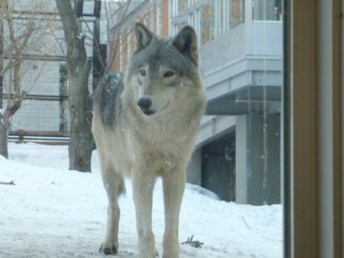 イケメンと未来のイケメン！