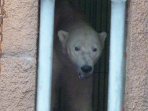 いよいよですね♪