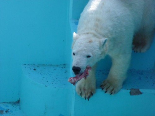 (キロたん最新情報) 僕…がんばってるよ!