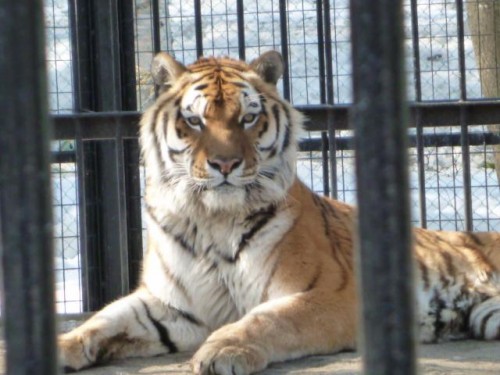 久しぶり~ヾ(〃^∇^)ノ