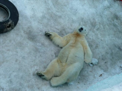 (キロたん最新情報)の続編