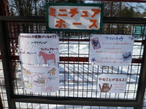 ご近所さん♪