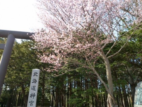今日も行きました