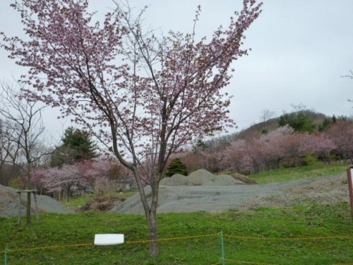 ちび作業員の苦悩(笑)