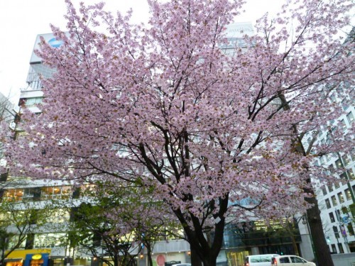 今日はお仕事中
