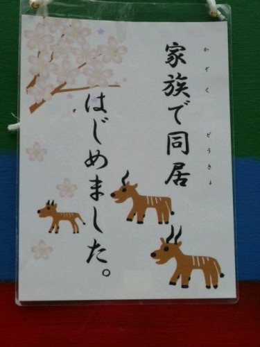 ニコちゃん
