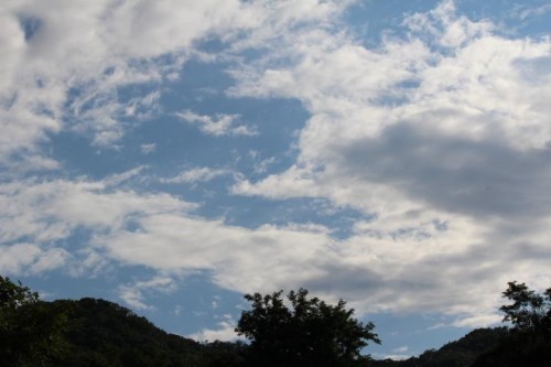 眠いでしゅ(´д⊂)‥