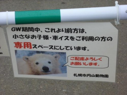 表情いろいろ