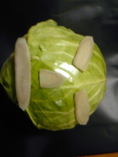 モツ鍋 作ってみました