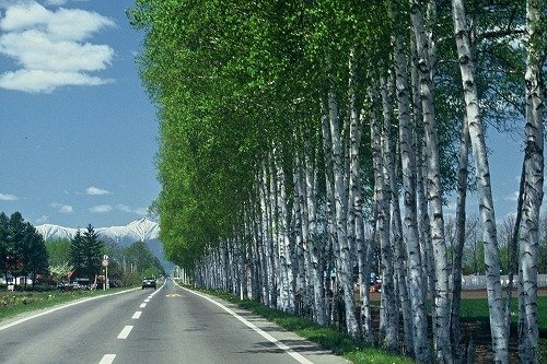 十勝　帯広での観光タクシーは大正交通にお任せください♪
