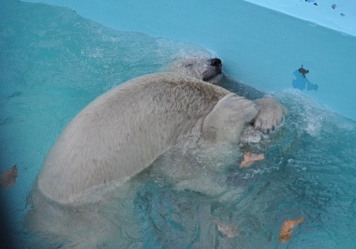 11月2日~ちょっとまったり?