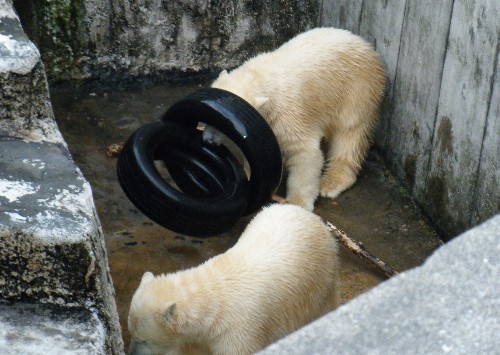 １年ちょっと前～１１月２５日