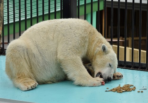 12月4日~まだまだ食べます!
