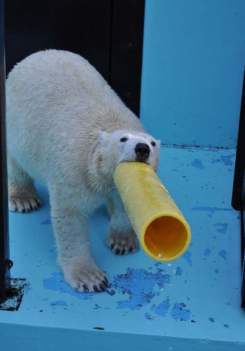 12月5日~お互いが気になって…続き