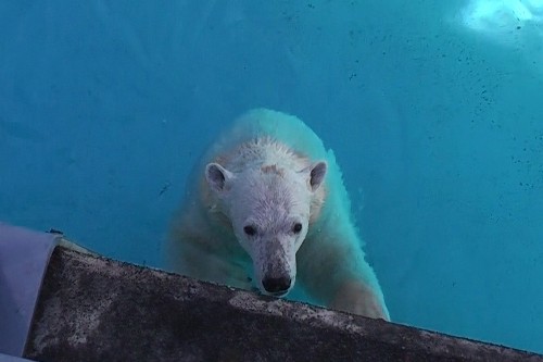 ３月２７日～浜松市動物園・キロル～おやつタイム