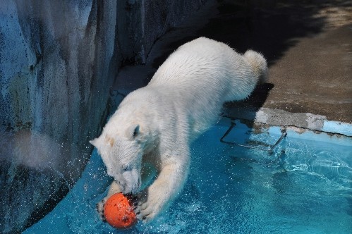 3月28日~浜松市動物園・キロル~11時過ぎ