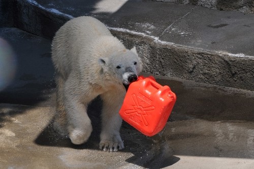 ３月２８日～浜松市動物園・キロル～ポリタン大好き♪
