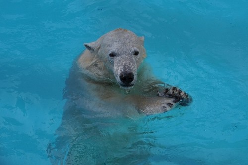３月２８日～浜松市動物園・キロル～おやつタイム