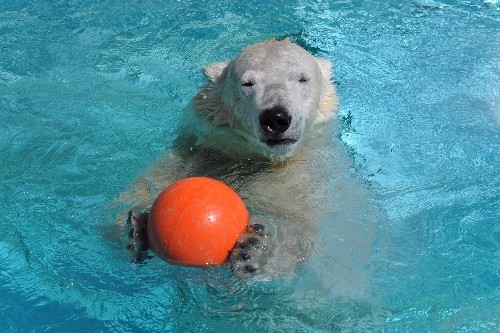 3月26日~浜松市動物園・キロル~9時から12時まで