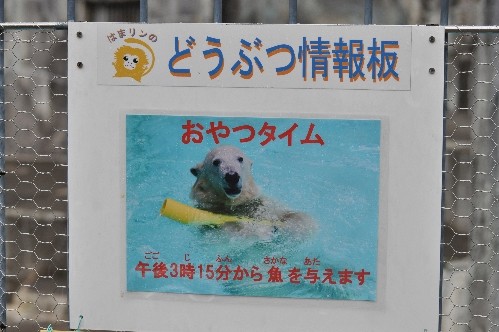3月25日~浜松市動物園・キロル~ほぼウォーキング