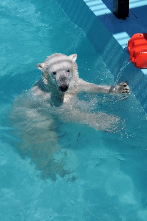 4月30日~おびひろ動物園・イコロ~12時から14時前