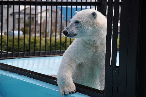 4月30日~おびひろ動物園・イコロ~14時前から閉園まで
