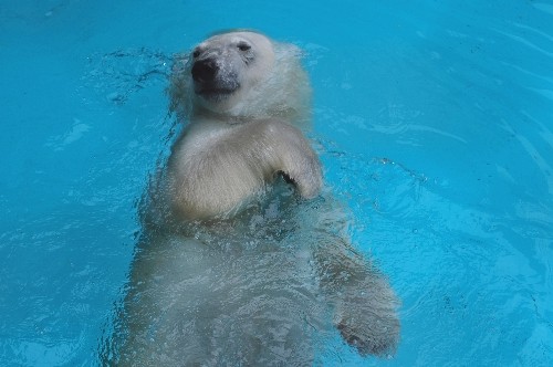5月22日~浜松市動物園・キロル~開園から11時過ぎ