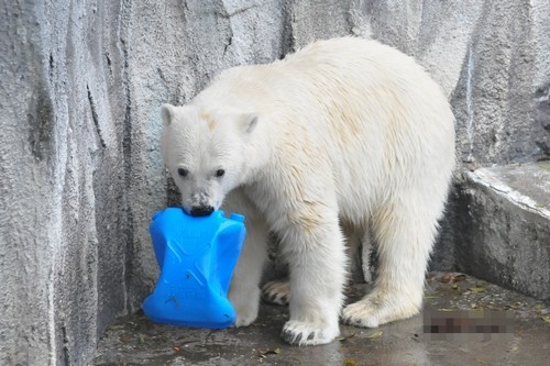 5月22日~浜松市動物園・キロル~ポリタン遊び