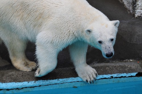 5月22日~浜松市動物園・キロル~13時前から15時過ぎ