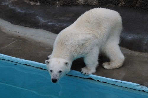 5月22日~浜松市動物園・キロル~おやつタイムから帰宅まで