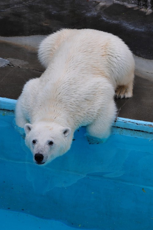 5月21日~浜松市動物園・キロル~おやつタイム