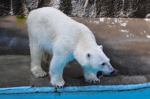 5月21日~浜松市動物園・キロル~おやつタイム後から閉園まで