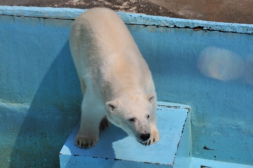 5月20日~浜松市動物園・キロル~午前中
