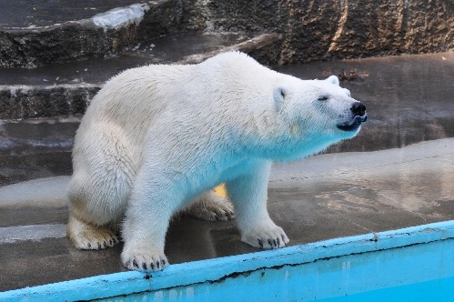5月20日~浜松市動物園・キロル~午後(15時以降)
